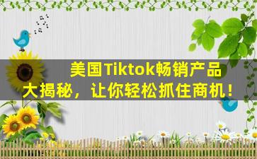 美国Tiktok畅销产品大揭秘，让你轻松抓住商机！